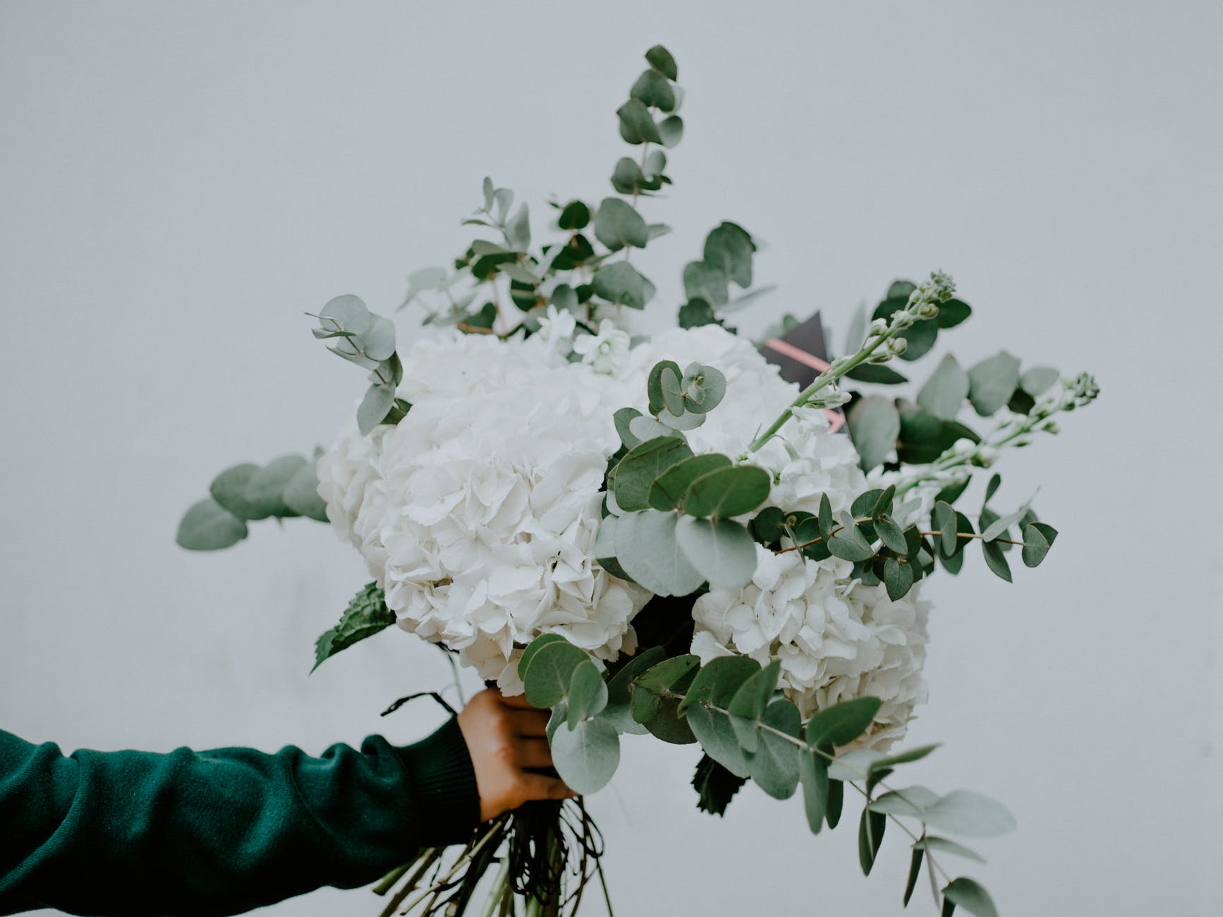 photo of person holding white flowers with green leaves in front of white background